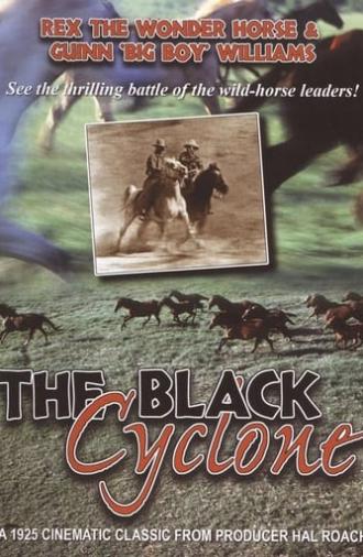 Black Cyclone (1925)