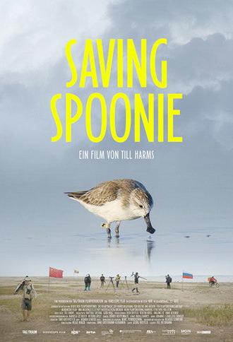 Saving Spoonie (2026)