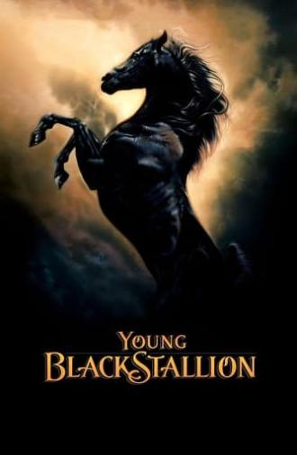 Young Black Stallion (2003)