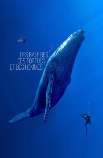 Des baleines, des tortues et des hommes (2024)