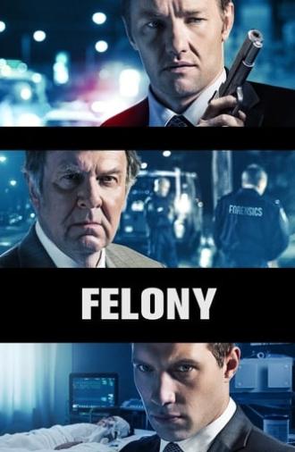 Felony (2014)