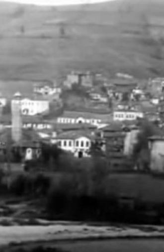 Panorama of the City of Grevena (1911)
