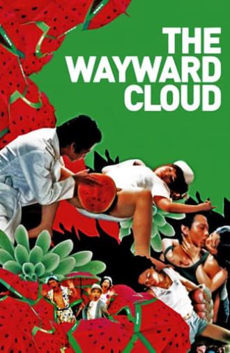 The Wayward Cloud (2005)