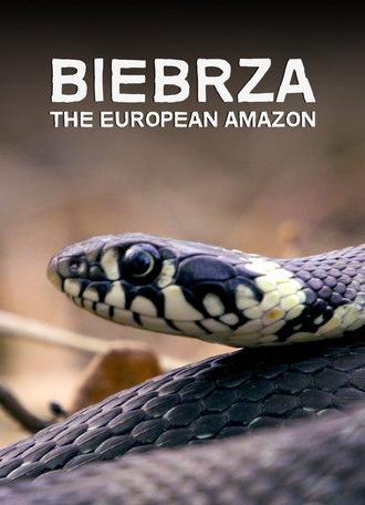 Biebrza: The European Amazon (2016)