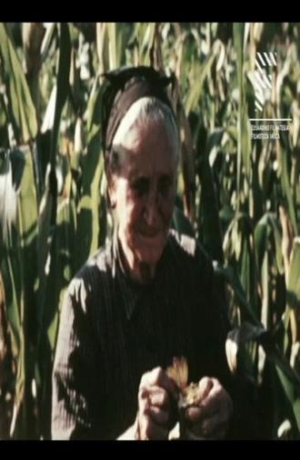 Aberria (Erria) (1961)