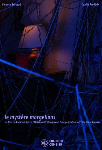 The Mystery of Morgellons (2026)