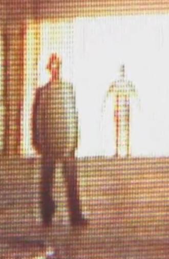 Shrimp Chicken Fish (2010)