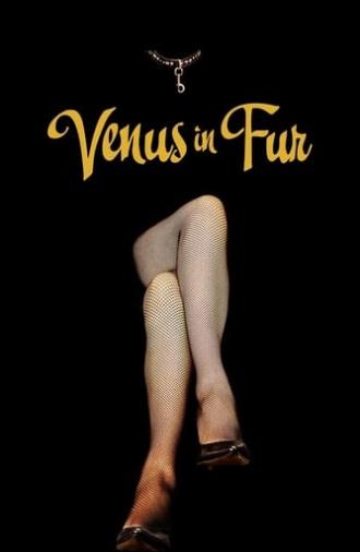 Venus in Fur (2013)