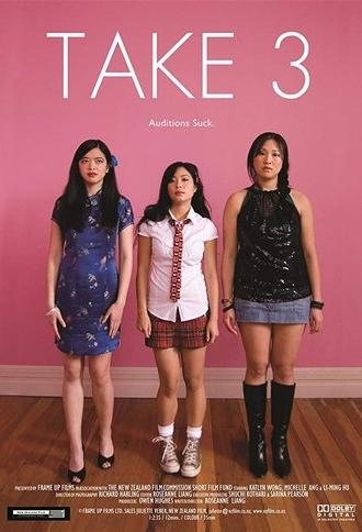 Take 3 (2008)