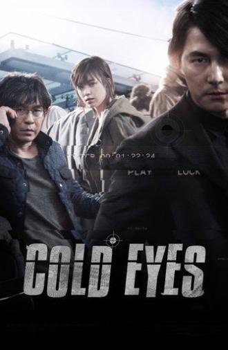 Cold Eyes (2013)