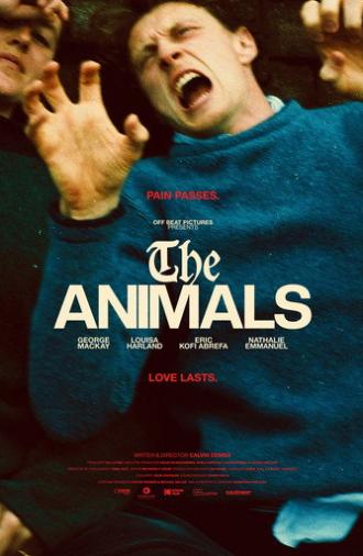 The Animals (2026)