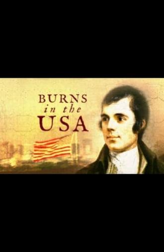 Burns in the USA (2017)