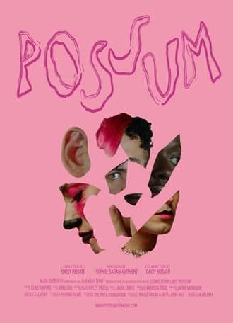 POSSUM (2024)