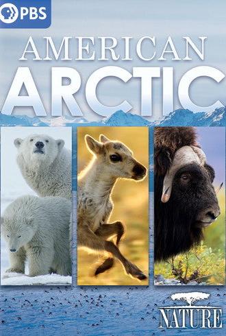American Arctic (2022)