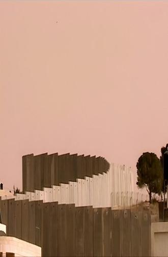 Palestine in Fragments (2007)