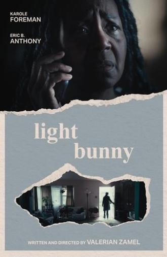 Light Bunny (2025)