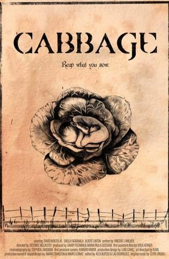 Cabbage (2022)