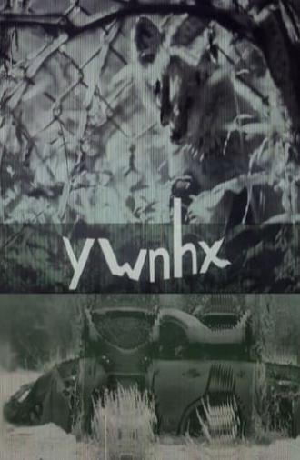 ywnhx (2023)