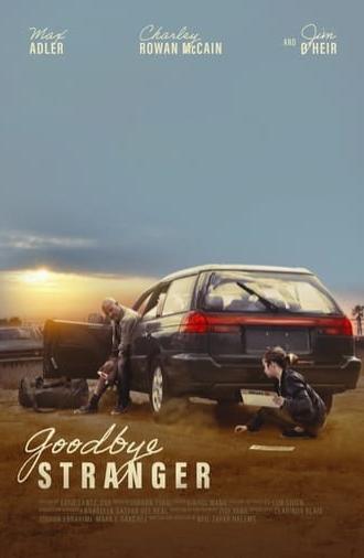 Goodbye Stranger (2025)