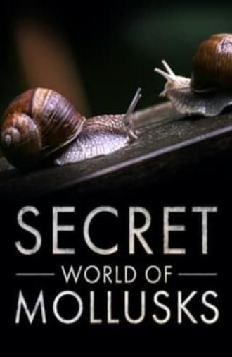 Secret World of Mollusks (2021)