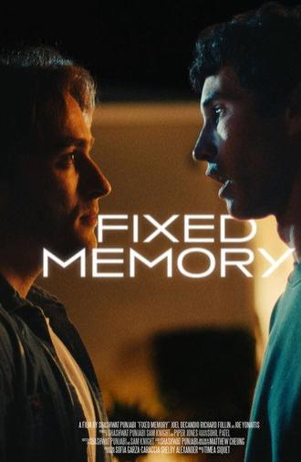 Fixed Memory (2024)