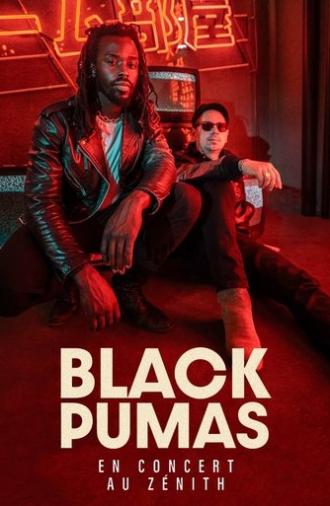 Black Pumas en concert au Zénith de Paris (2024)