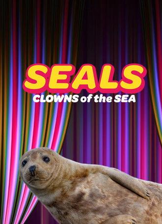 Seals - Clowns of the Sea (2021)