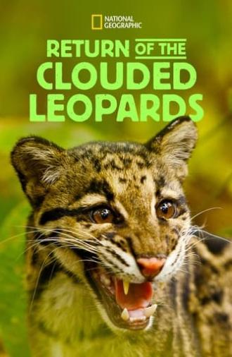 Return of the Clouded Leopards (2012)