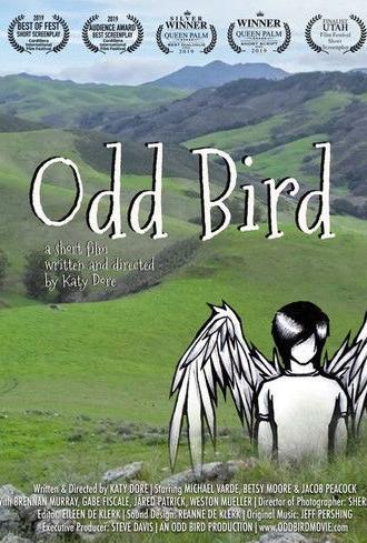 Odd Bird (2019)