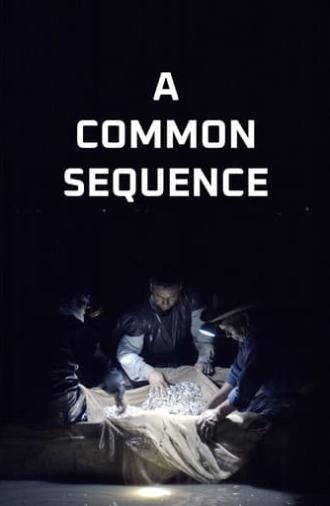 A Common Sequence (2023)