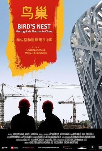 Bird's Nest - Herzog & de Meuron in China (2008)