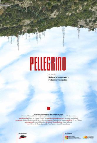 Pellegrino (2017)