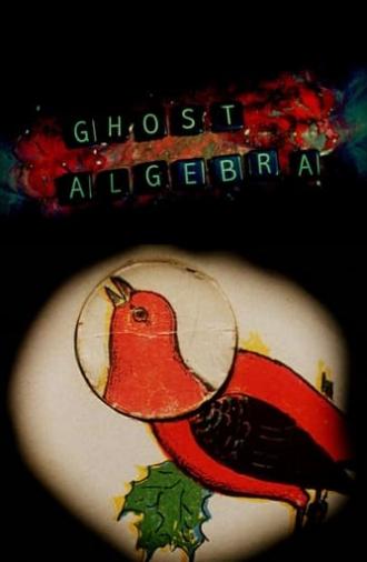 Ghost Algebra (2010)