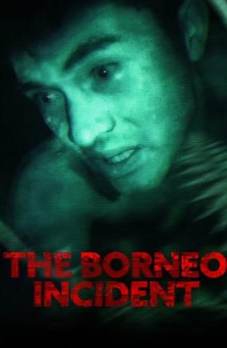 The Borneo Incident (2013)