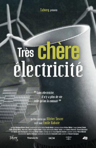 Très chère électricité (2025)