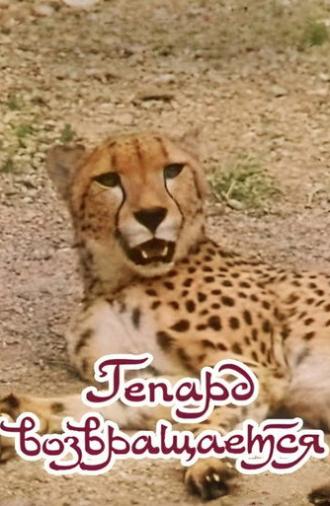 The Cheetah Comes Back (1985)