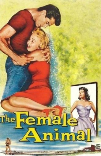 The Female Animal (1958)