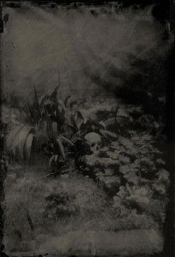 Boogie & Demons (2023)