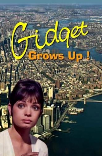 Gidget Grows Up (1969)