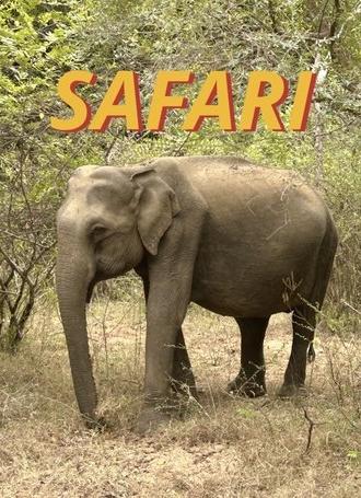 Safari (2025)