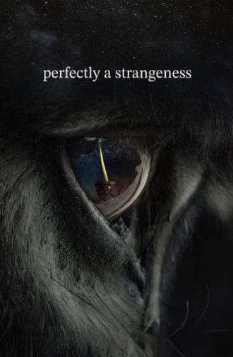Perfectly a Strangeness (2024)