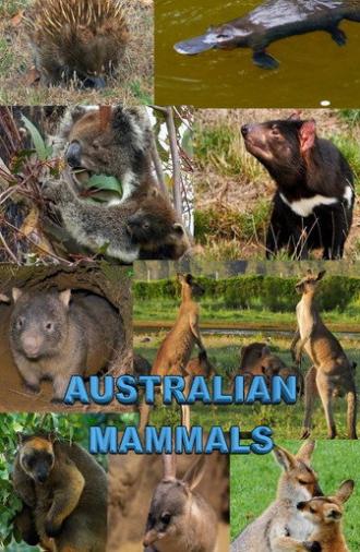 Australian Mammals (2021)