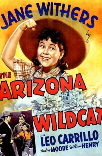 The Arizona Wildcat (1939)