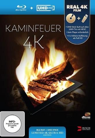 Kaminfeuer 4K (2014)