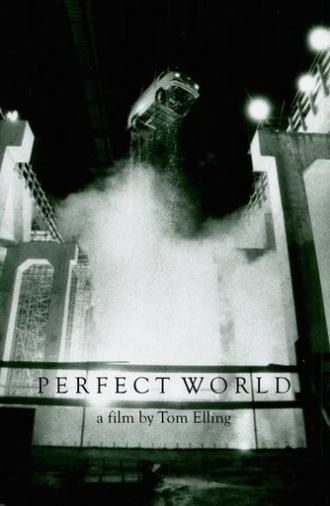 Perfect World (1990)