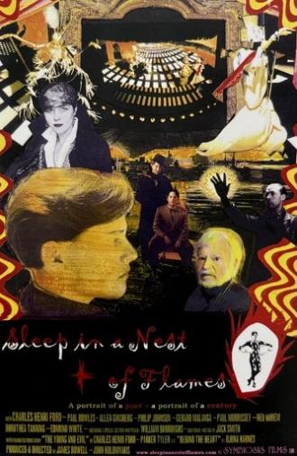 Sleep in a Nest of Flames (2001)