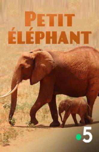 Small Elephant (2015)