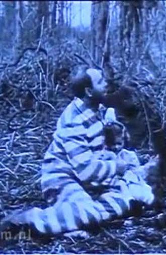 In Northern Forests (1911)