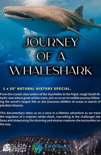 Journey of a Whale Shark (2024)