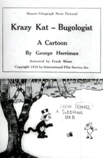 Krazy Kat, Bugologist (1916)